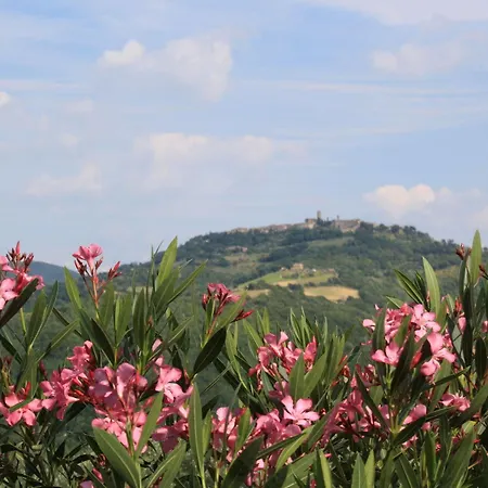 Agriturismo Materno Radicondoli Exterior foto