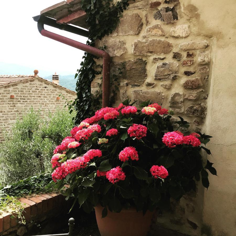 Agriturismo Materno Radicondoli