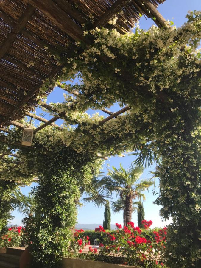 Agriturismo Materno Farm stay Radicondoli
