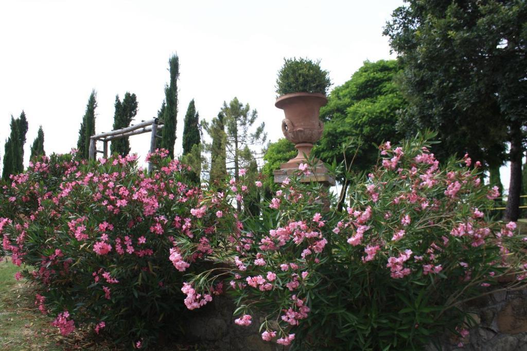 Agriturismo Materno * Radicondoli